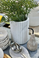 Alabaster Fluted Marble Vessel