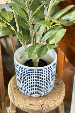 Lei Indigo Check Ceramic Pot
