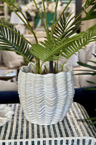 XL Scallop Planter
