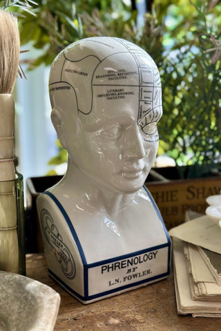 Phrenology Head - Large