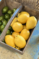 Faux Yellow Lemon - Magpie Style