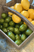 Faux Green Lime - Magpie Style