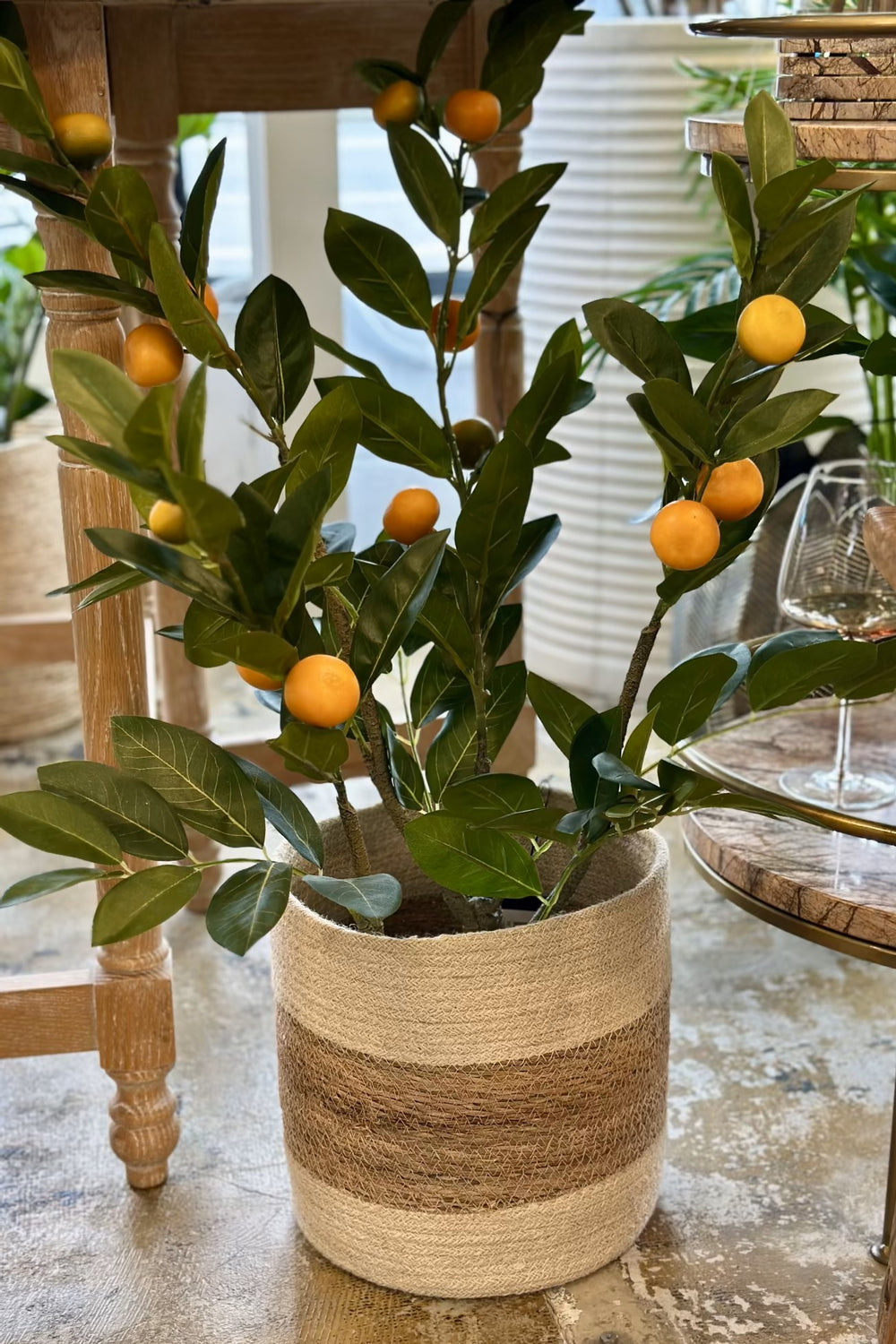 Orange Tree