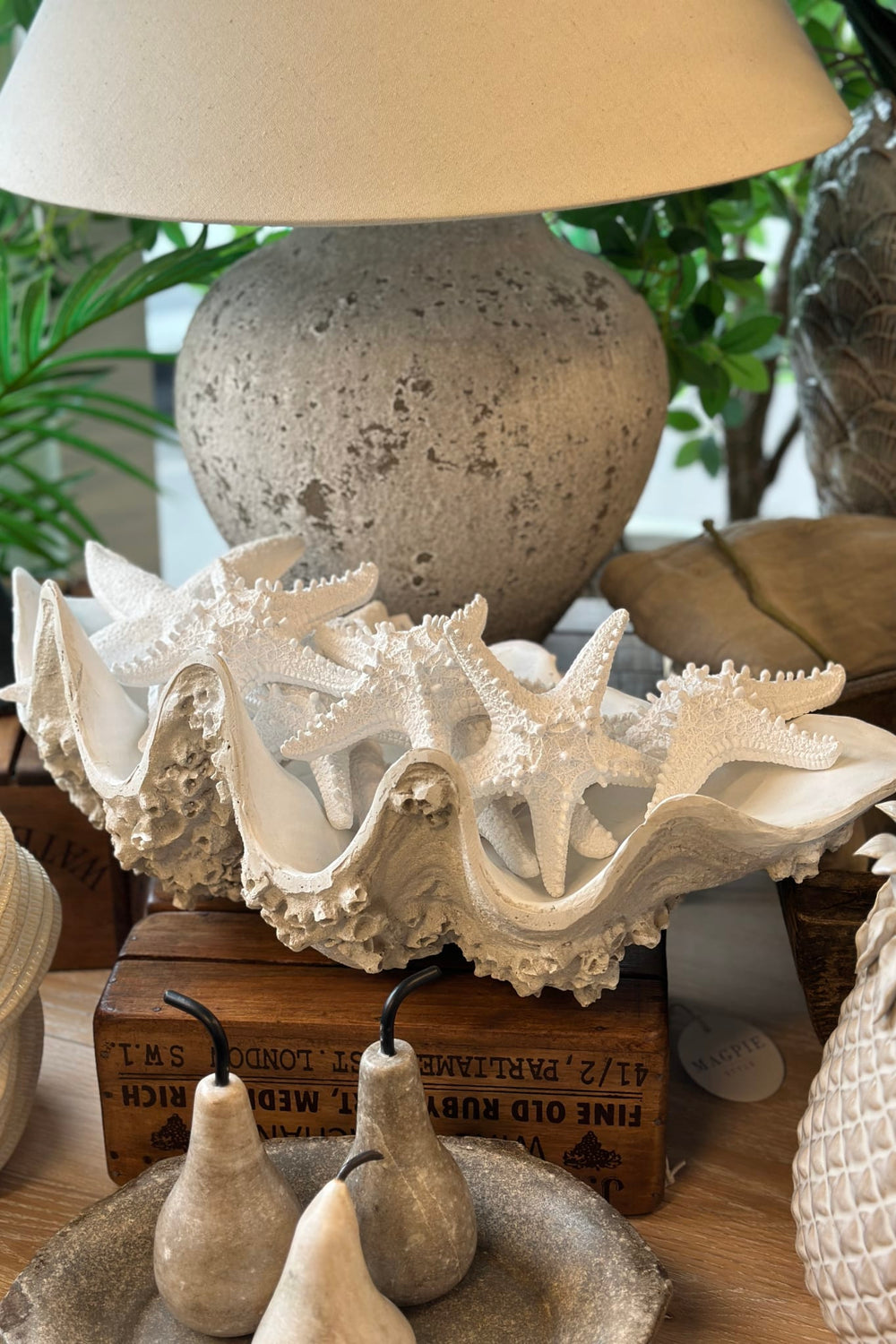 Trida Clam Vessel
