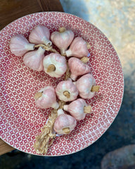 Ceramic String of Garlic