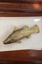 Gold Fish - Carpe - Magpie Style