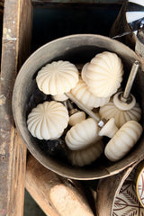 Bone Scallop Doorknob