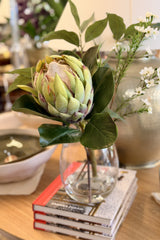 Small Grand Protea Native Mix - Claire