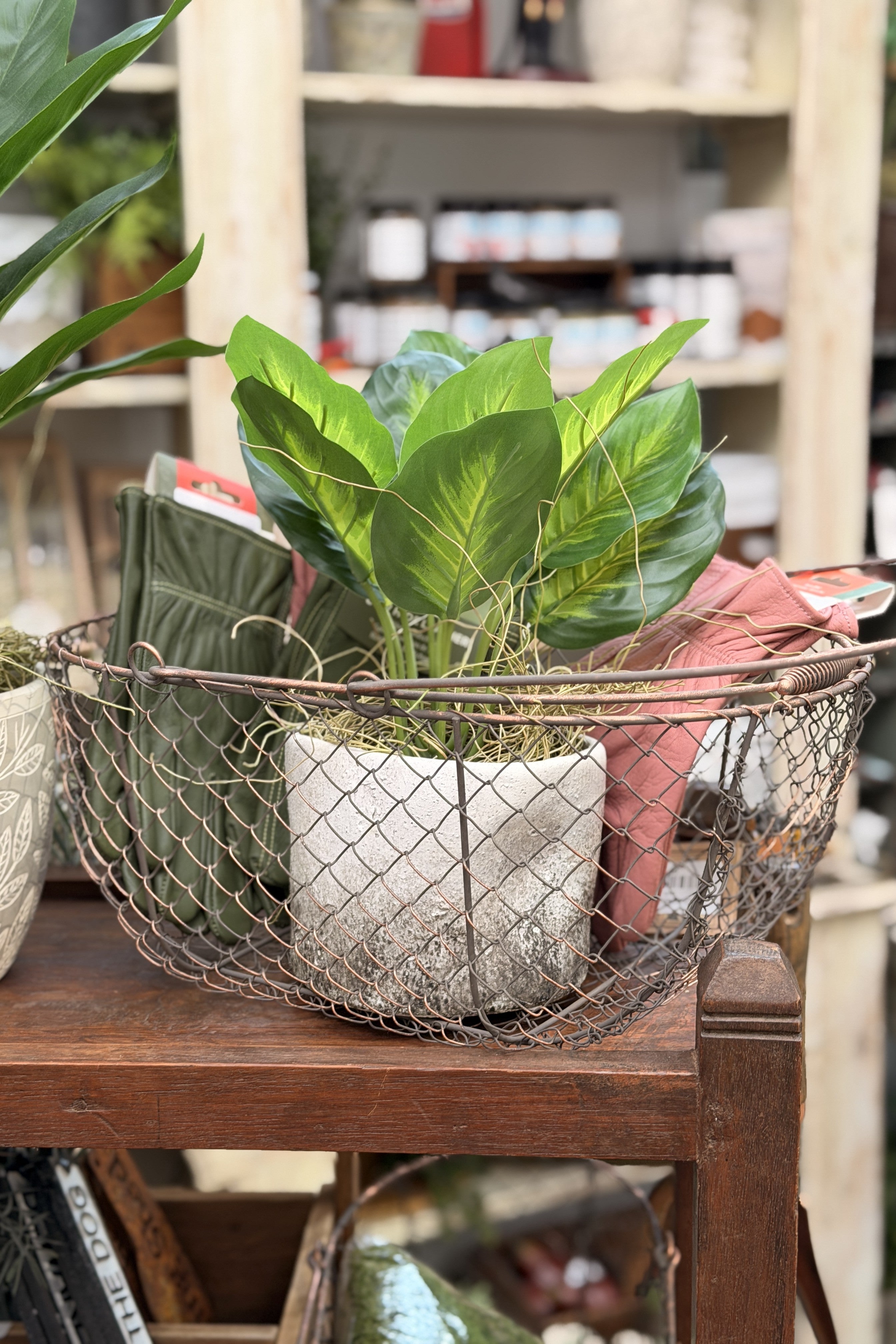 Round Wire Basket - Large - Magpie Style
