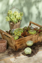 Wooden Plant Box - 6 Square - Magpie Style