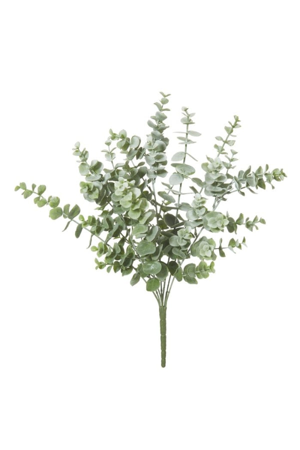 Eucalyptus Bush - Magpie Style