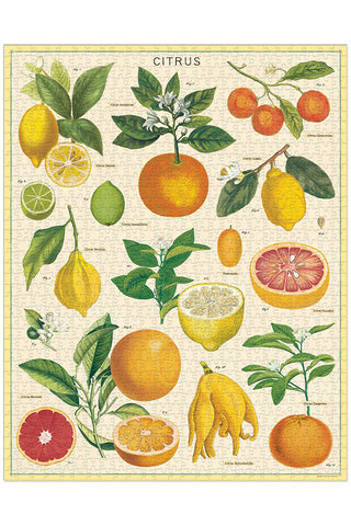 Cavallini & Co - Citrus 1000 Piece Vintage Puzzle