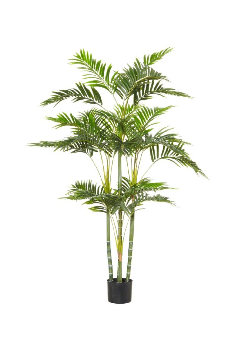 Faux Cane Palm - Large