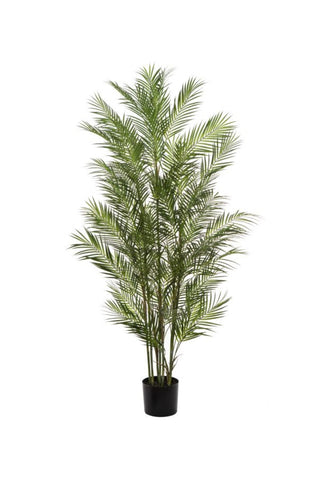 Faux Phoenix Palm in Pot