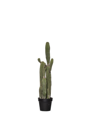 Faux Saguaro Cactus - Potted