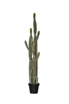 Large Faux Saguaro Cactus - Potted - Magpie Style