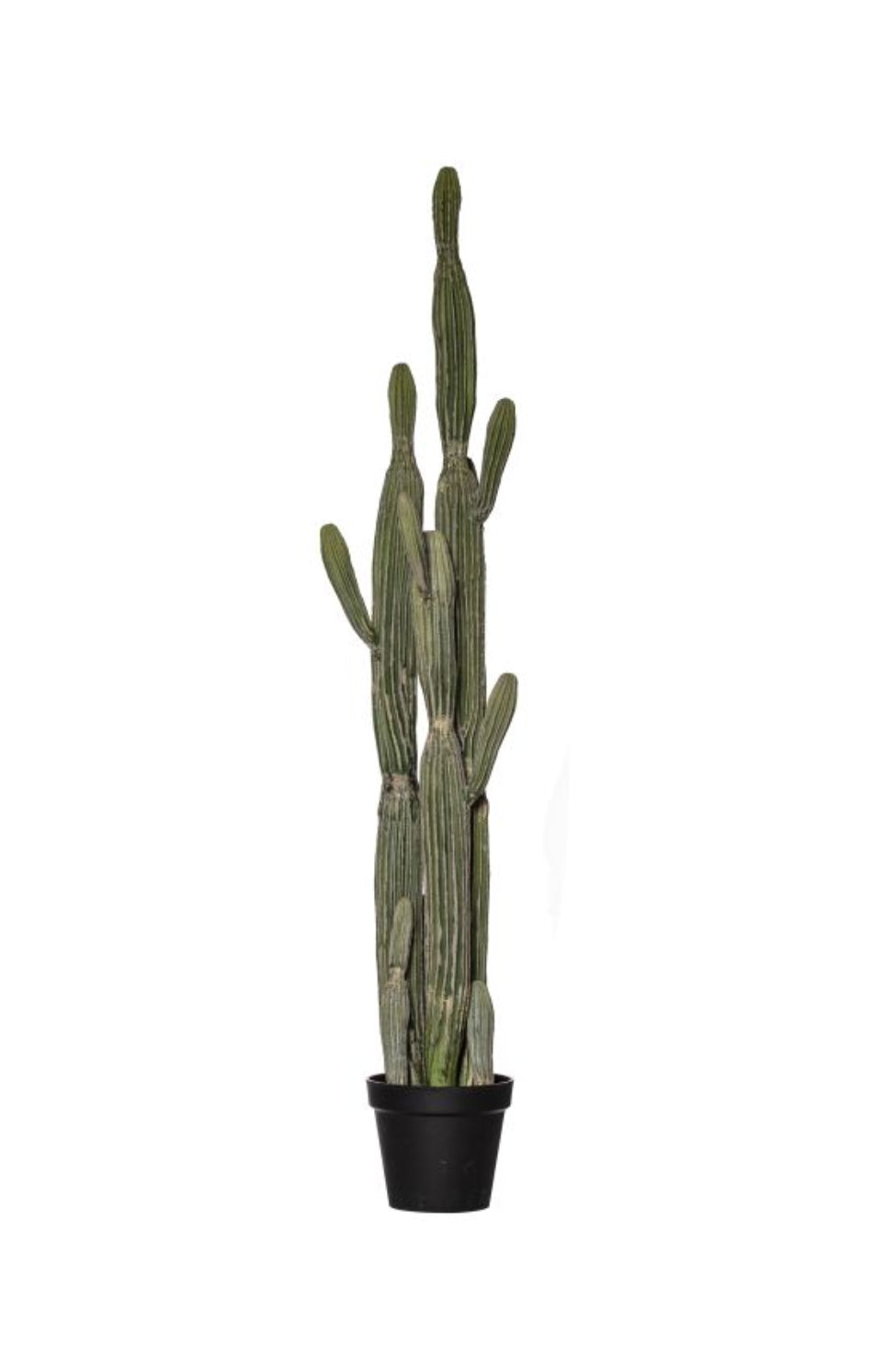 Large Faux Saguaro Cactus - Potted - Magpie Style