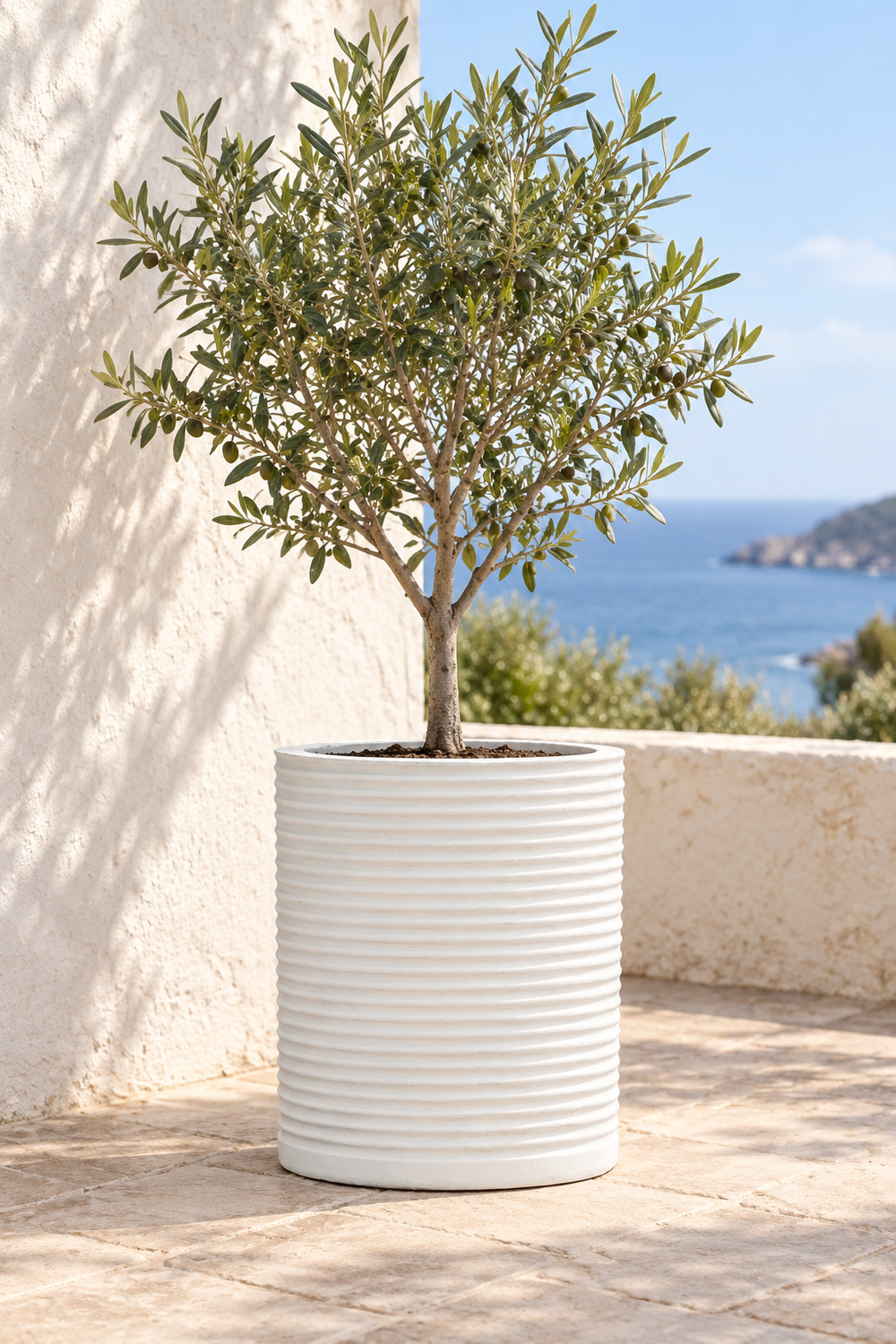 Medium Planter - Rustic White