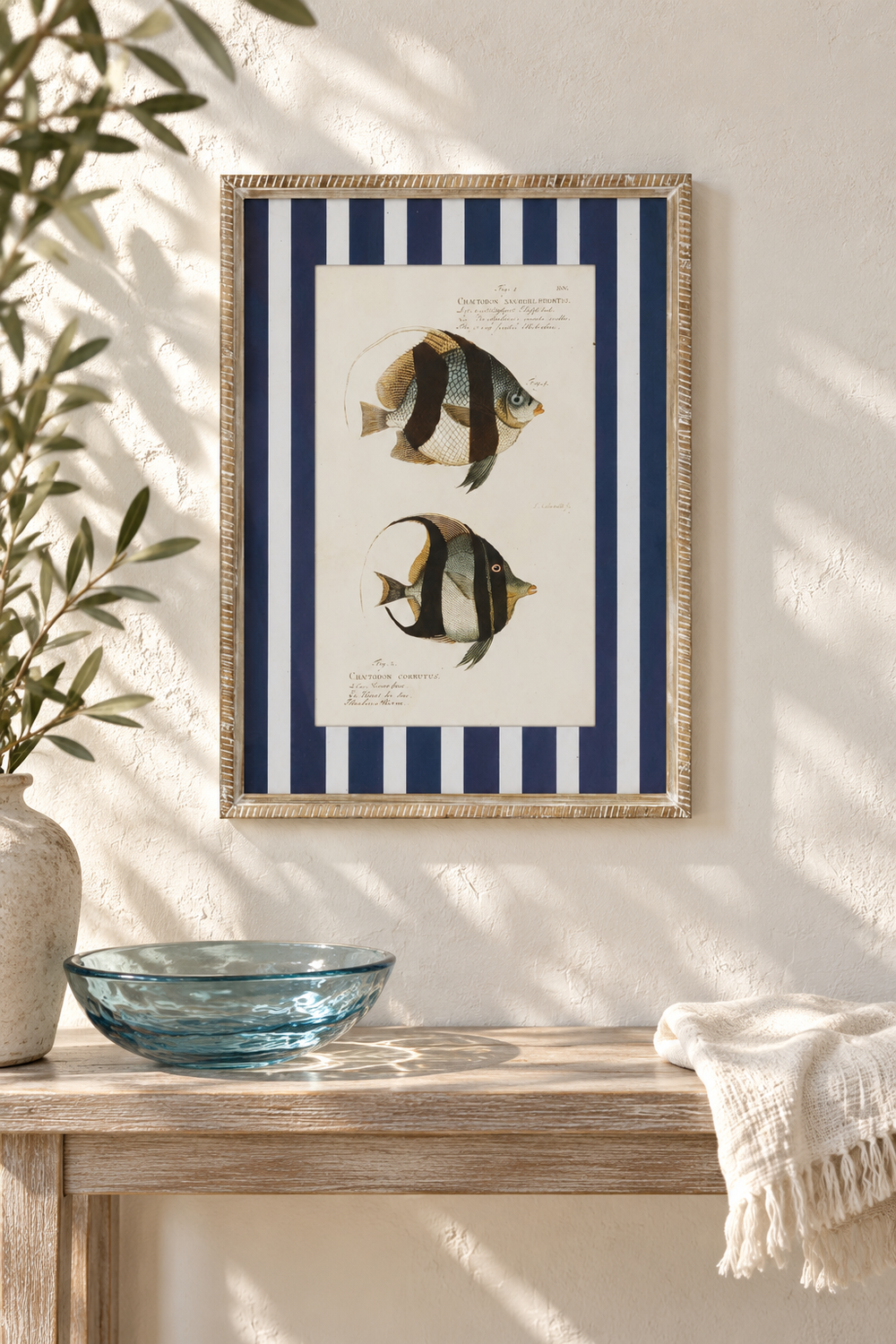 Moorish Stripe Fish Study