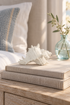 Small white Murex resin shell ornament styled on neutral books in a coastal bedroom