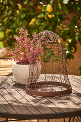 Metal Wire Cloche