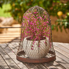 Outdoor Metal Wire Cloche - Magpie Style