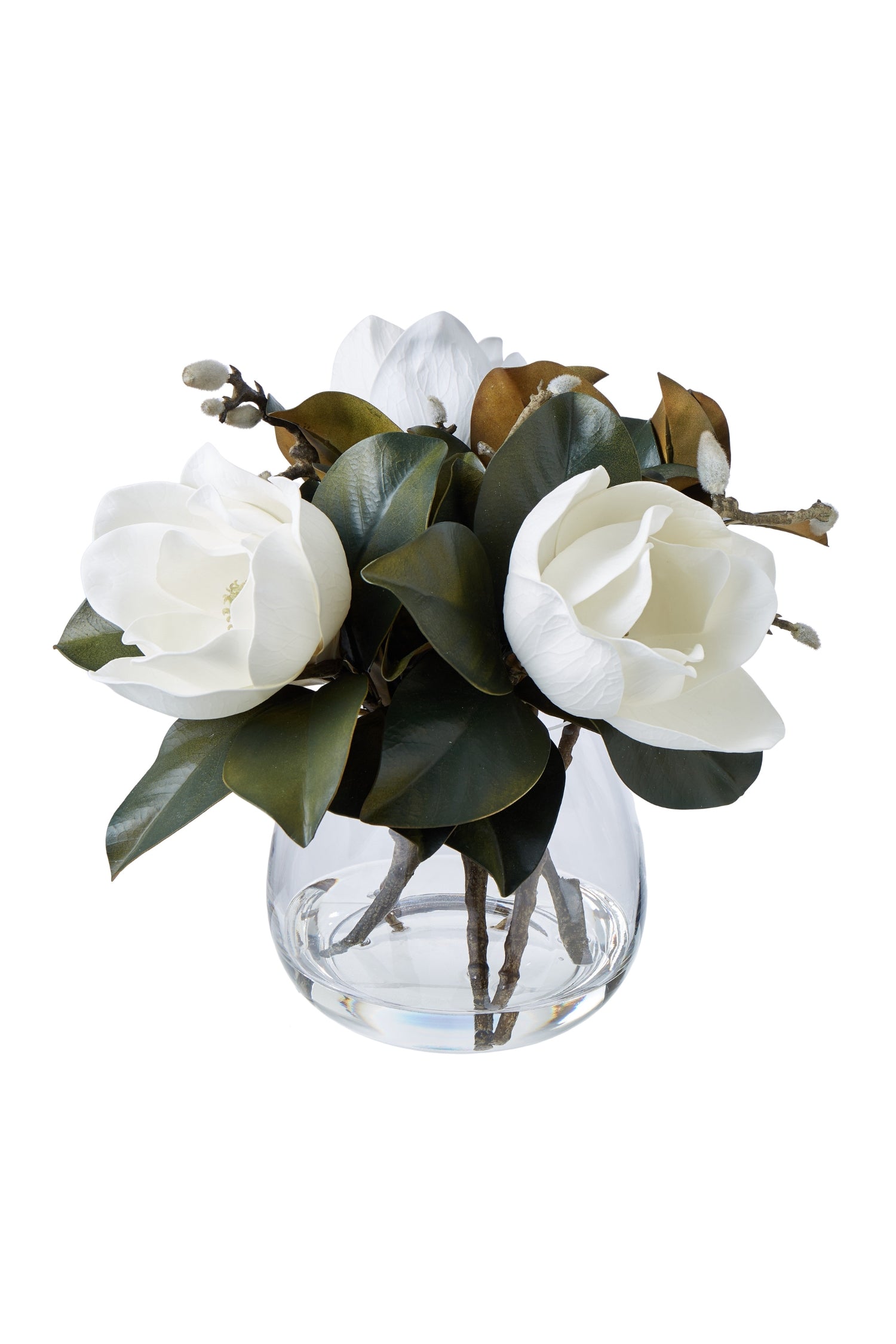 Magnolia Grandiflora Garden - Magpie Style