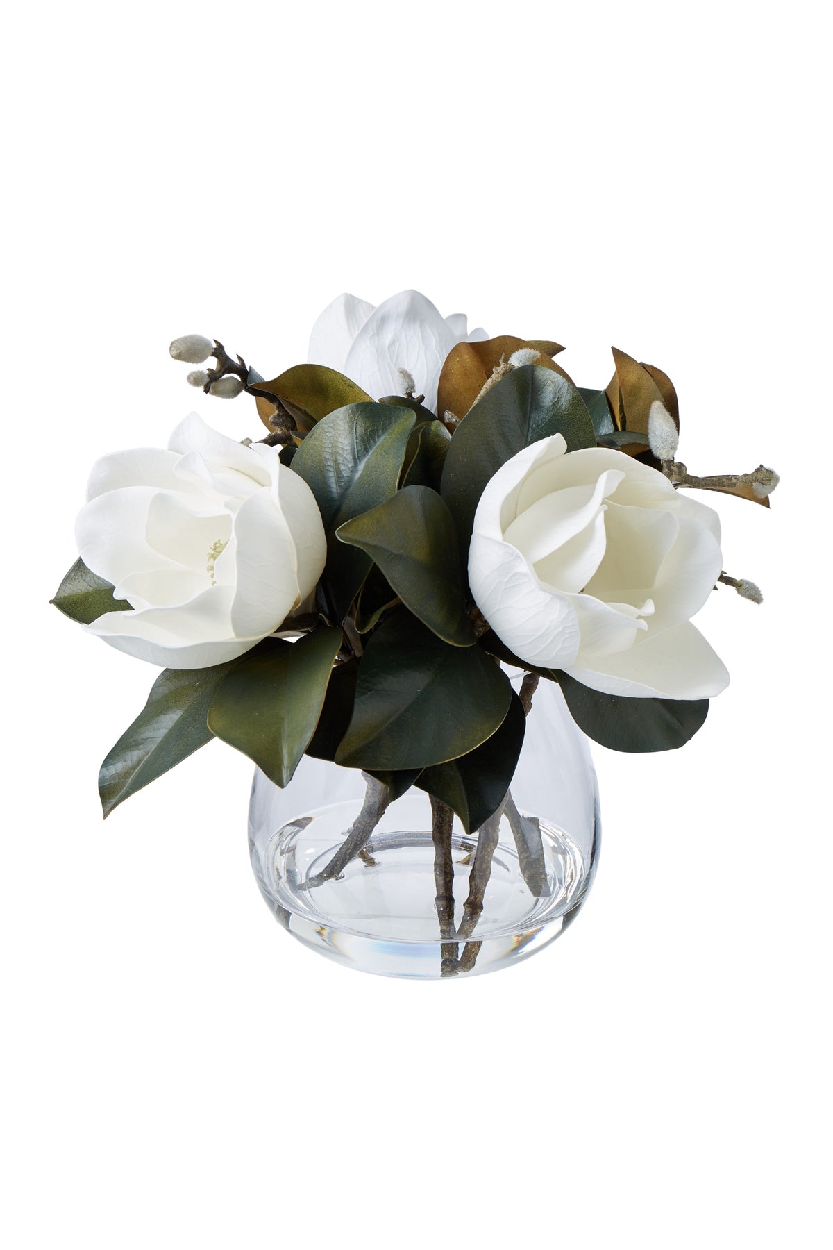 Magnolia Grandiflora Garden - Magpie Style