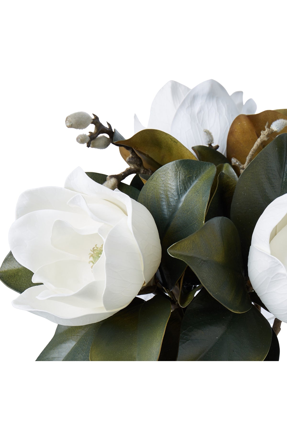 Magnolia Grandiflora Garden - Magpie Style