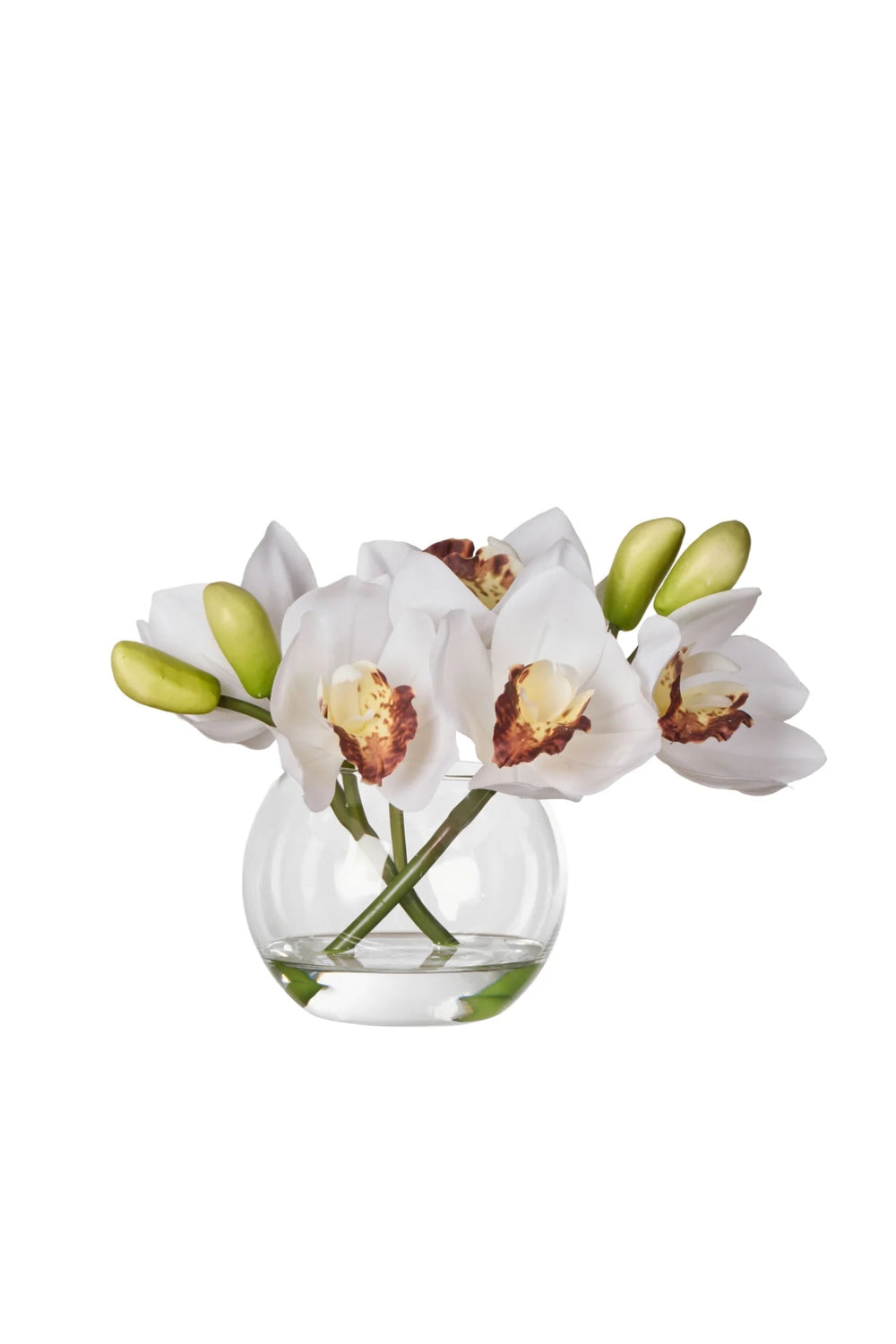 Ivory Cymbidium Sphere Arrangement