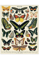 Cavallini & Co - Butterflies 1000 Piece Vintage Puzzle - Magpie Style