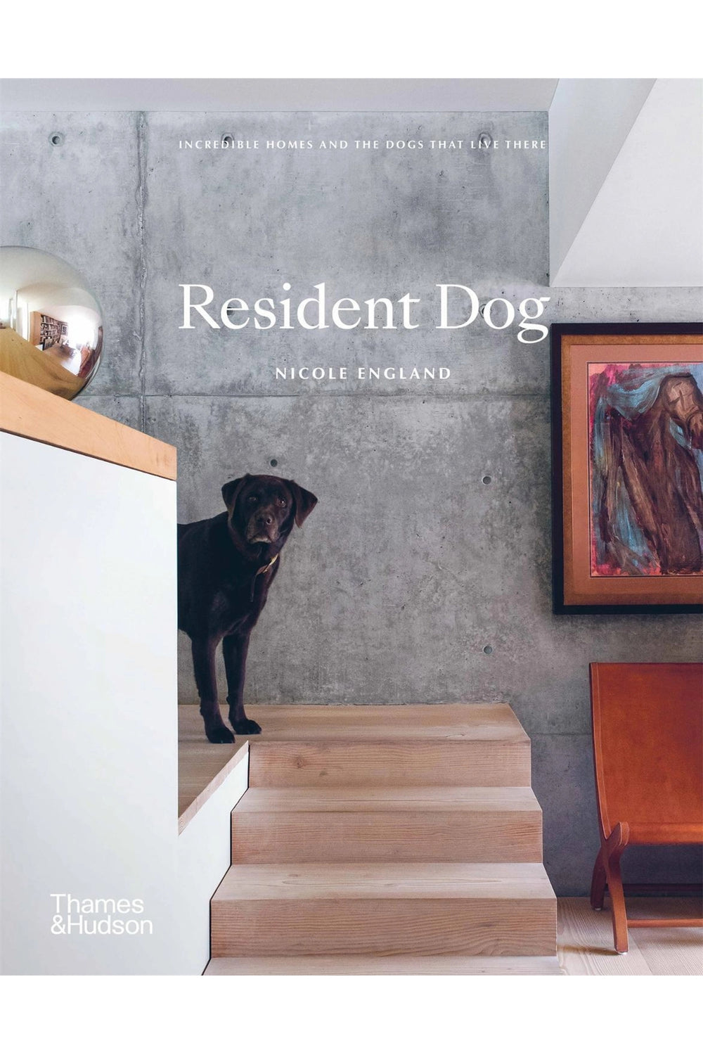 Resident Dog