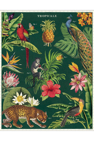 Cavallini & Co - Tropicale 1000 Piece Vintage Puzzle