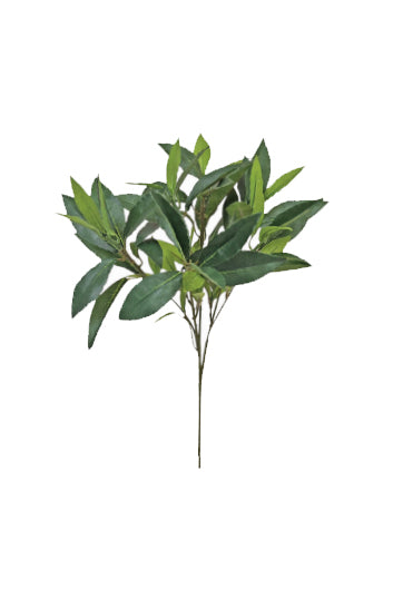 Bay Spray Green