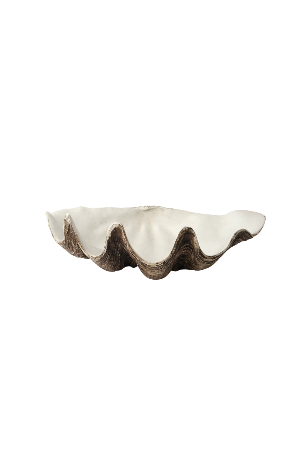 Large Resin Clam Shell - Natural