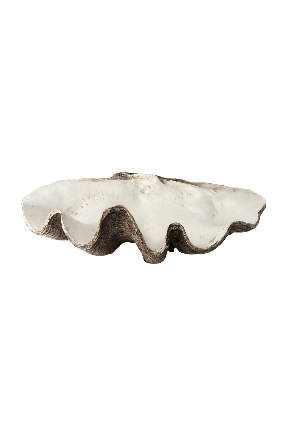 XL Resin Clam Shell - Natural - Magpie Style