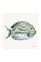Coastal Bliss - Magpie Style