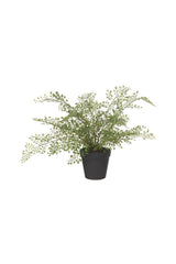 Faux Maidenhair Fern Pot