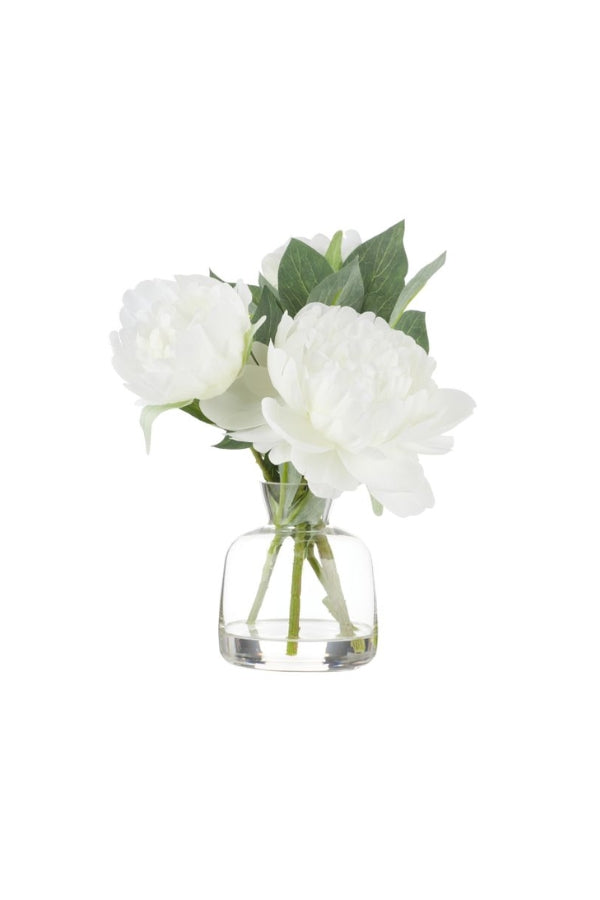 Peony Stem - Clear Vase - Magpie Style