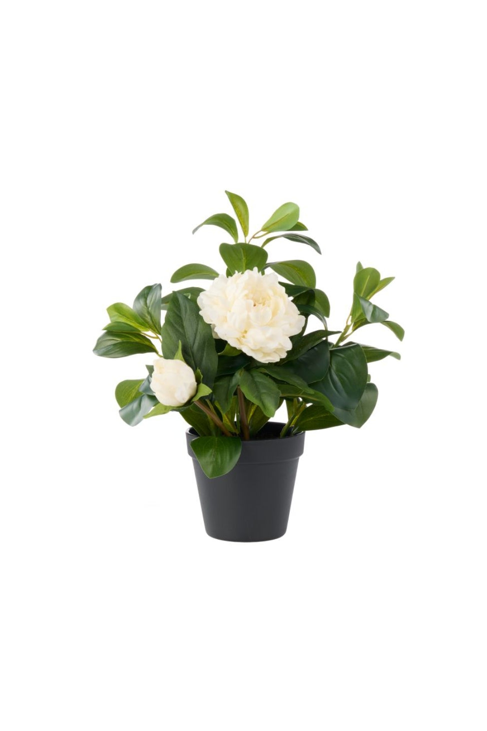 Faux White Peony Pot - Magpie Style