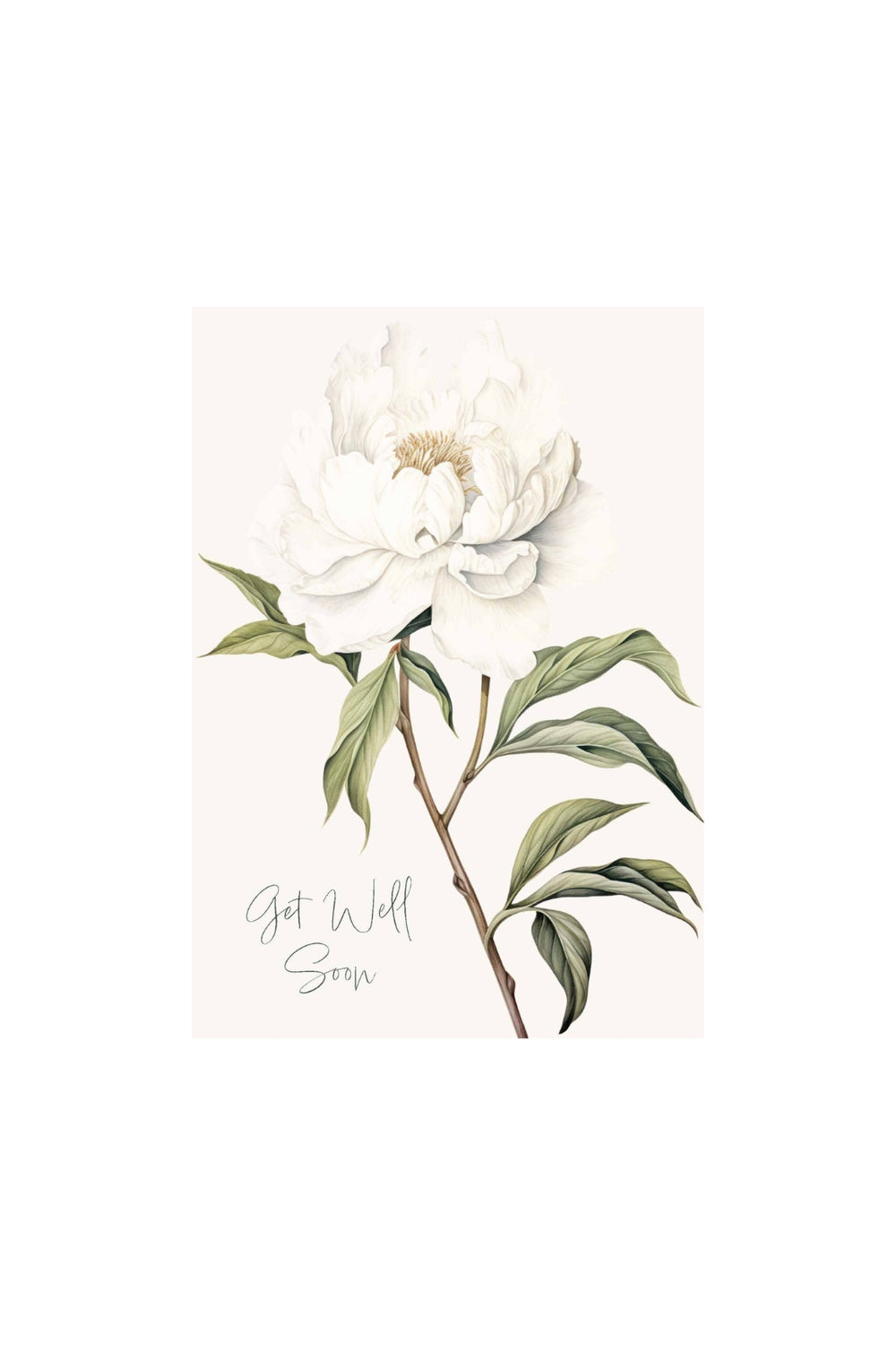 Card - White Peony Get Well