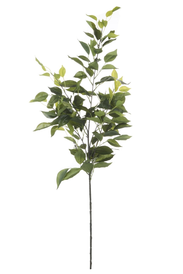 Fiscus Leaf Spray - Magpie Style