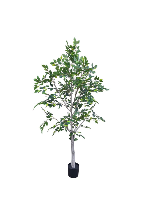 Real Touch Ficus Tree - 180cm