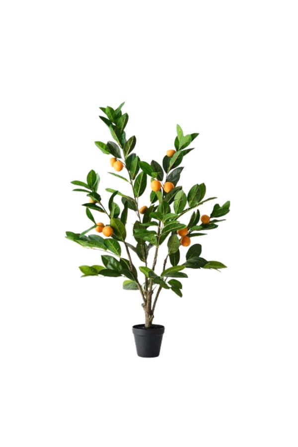 Orange Tree - Magpie Style