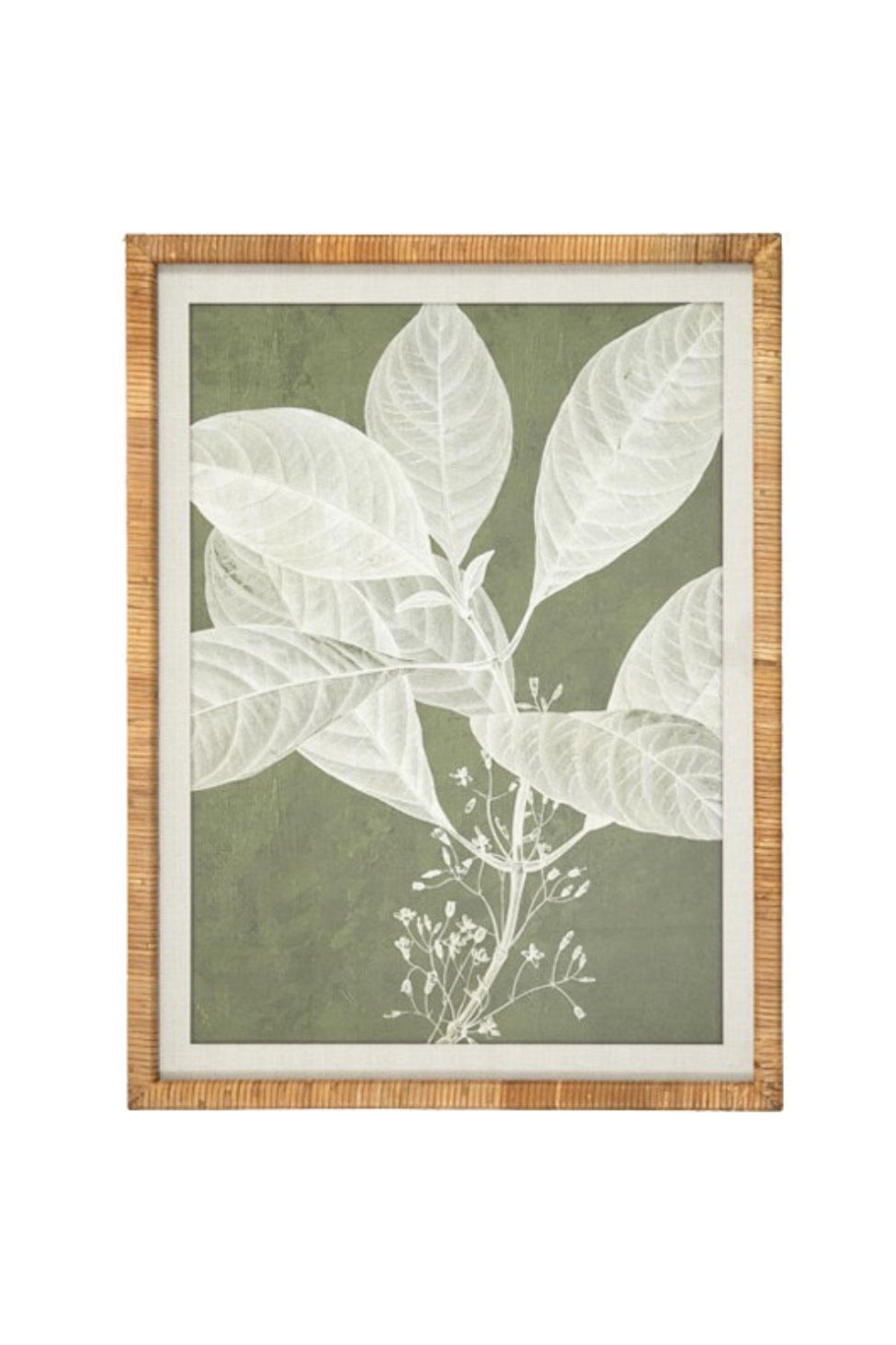 Garden Leaf Botanical Framed Print