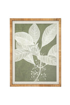Olive Botanical Wall Art I - Magpie Style