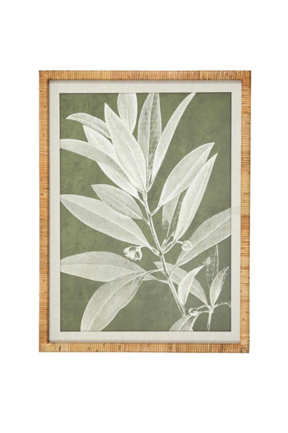 Willow Leaf Botanical Framed Print