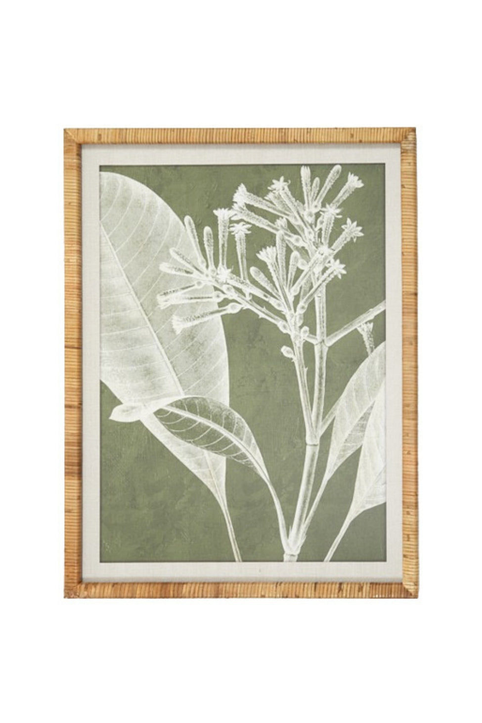 Olive Botanical Wall Art III - Magpie Style