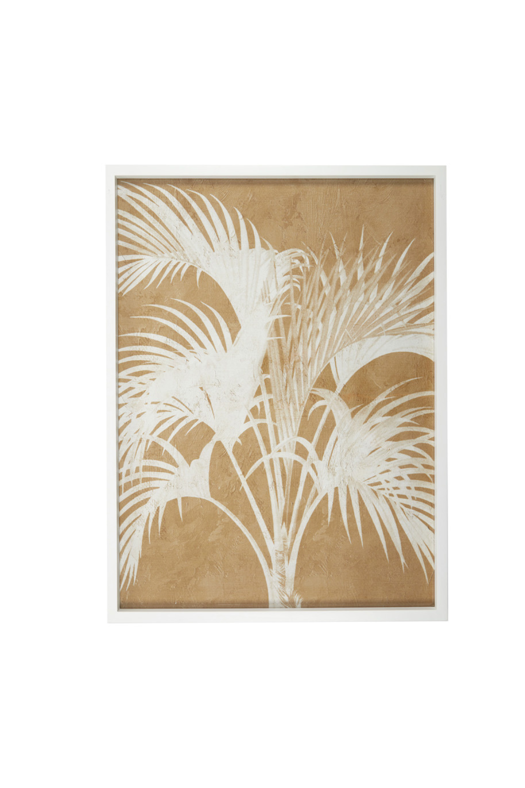Calathea Frame Glass Print - Magpie Style