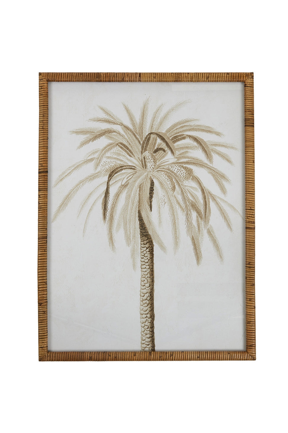 Palm Study Wall Art I - Magpie Style
